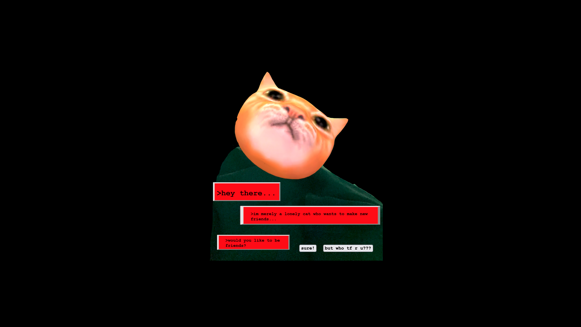 User Experience