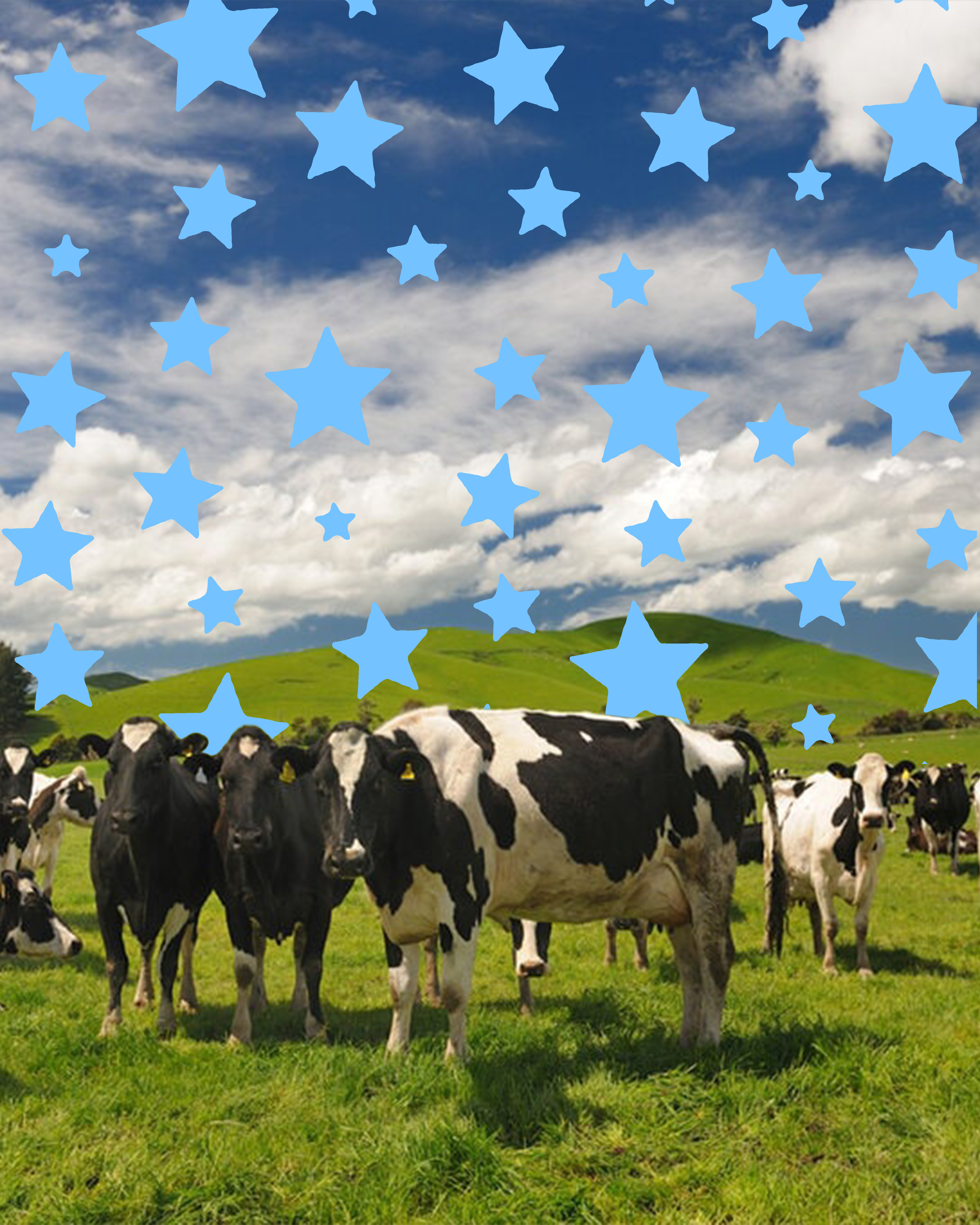 Seneca Dairy Systems